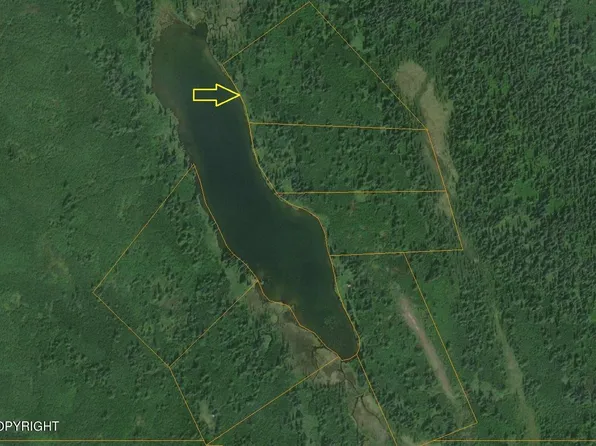 Township Road R No Rd, Skwentna, AK 99667