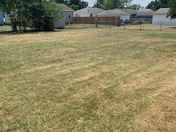Clean Backyard