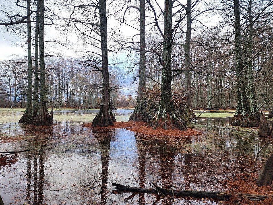 0 Shaw Rd, Sledge, MS 38670 Zillow