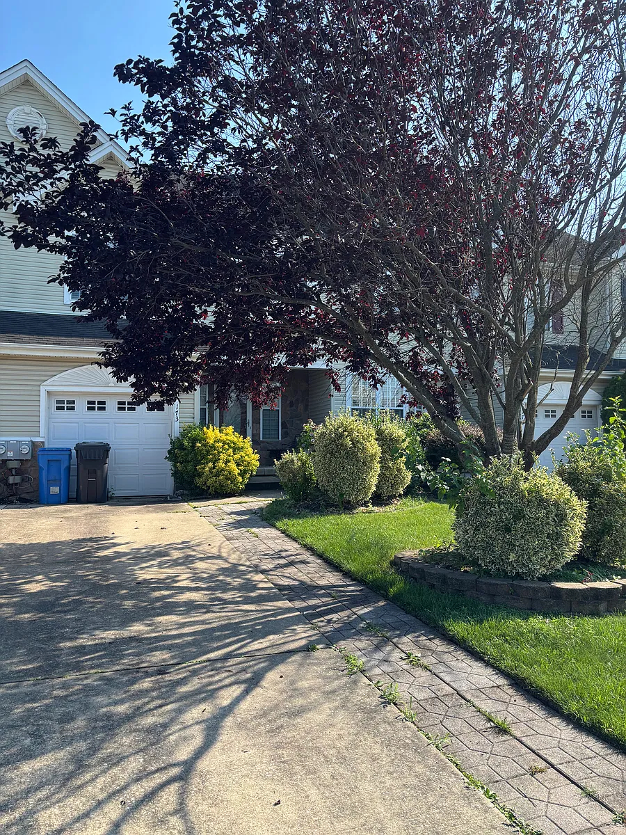 Building Photo - 173 Westbrook Dr