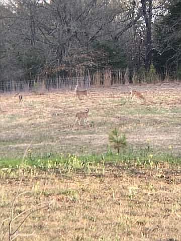 1st image of County Road 4528
