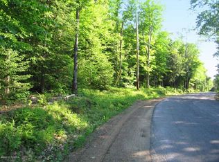 344 Lanfear Rd, Athol, NY 12810