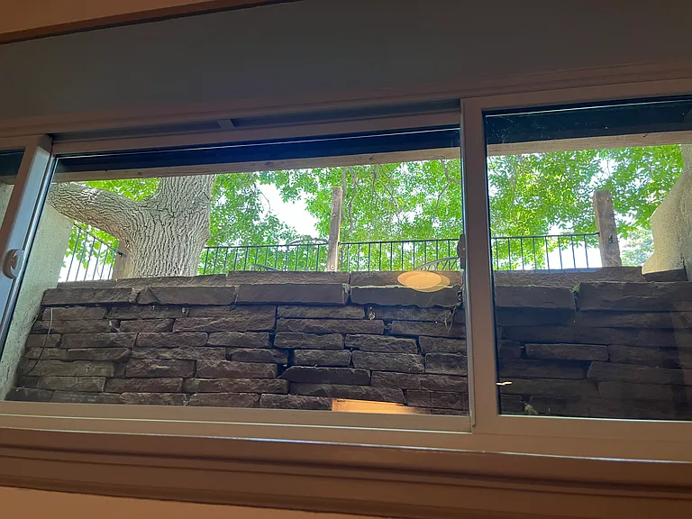 One large window looks up at the oak tree, gets morning sun