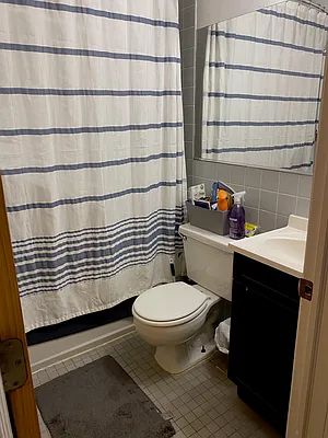 Rented by Aryeh Realty | media 15