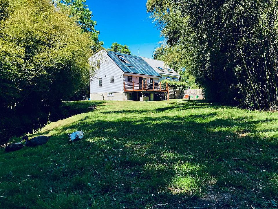 yard near brook