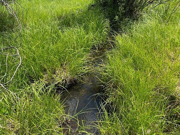 4th image of Camp Creek Rd