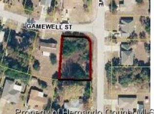 10200 Gamewell St, Spring Hill, FL 34608