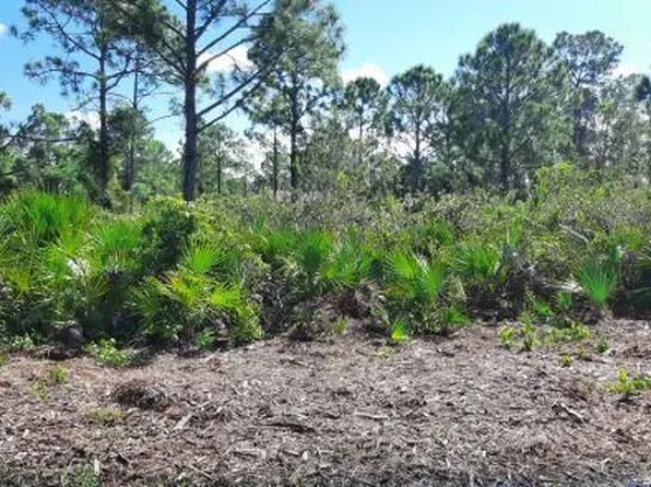 12038 IRIS STREET LOT 13, PUNTA GORDA, FL 33955