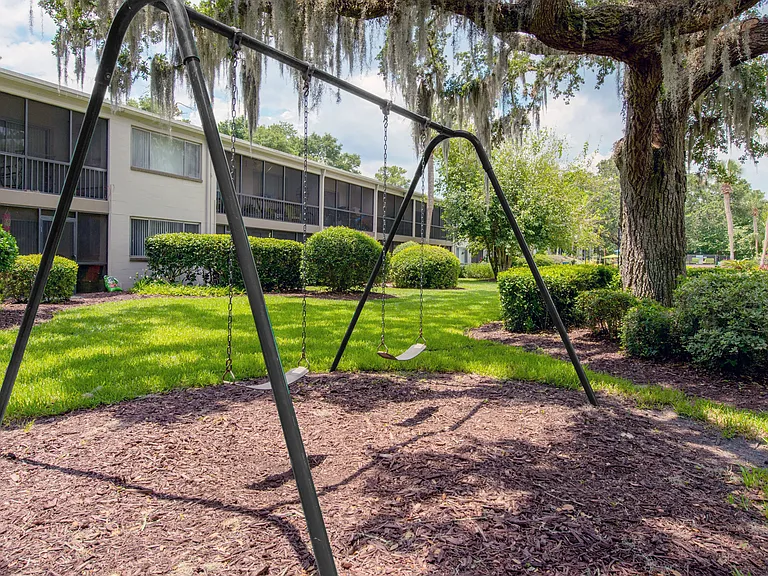 Explore outdoor joy with our swing set, nestled under a moss-draped oak, creating a magical play space for kids.