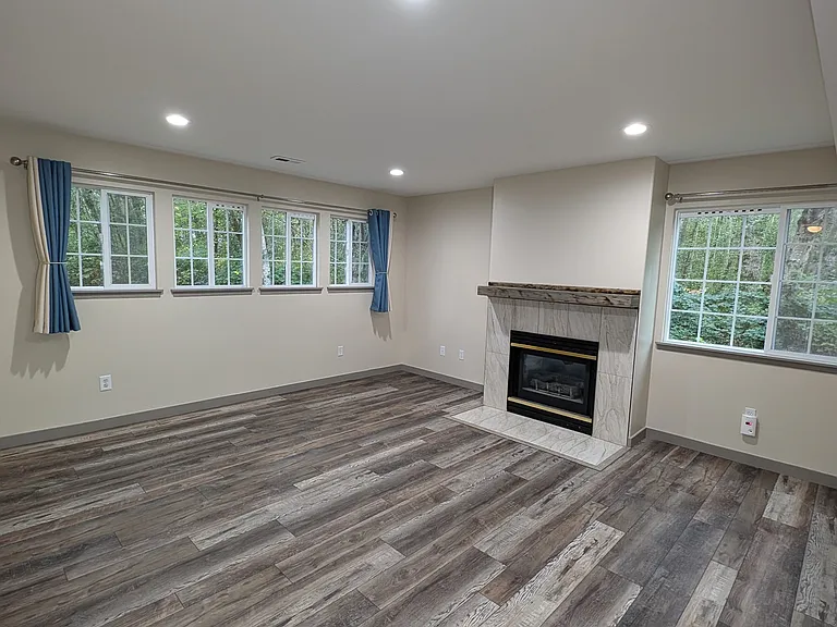 Family Room, Lower Level