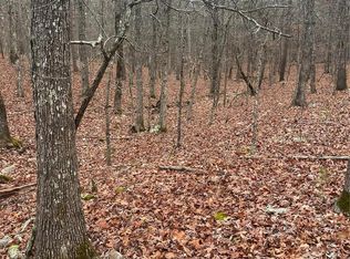 0 County Road 373, Piedmont, MO 63957