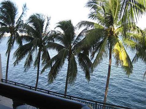 View from Balcony