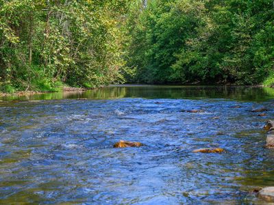 S River Rd, Buena Vista, VA, 24416