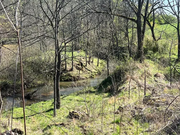 0 Cutcane Rd, Mineral Bluff, GA 30559