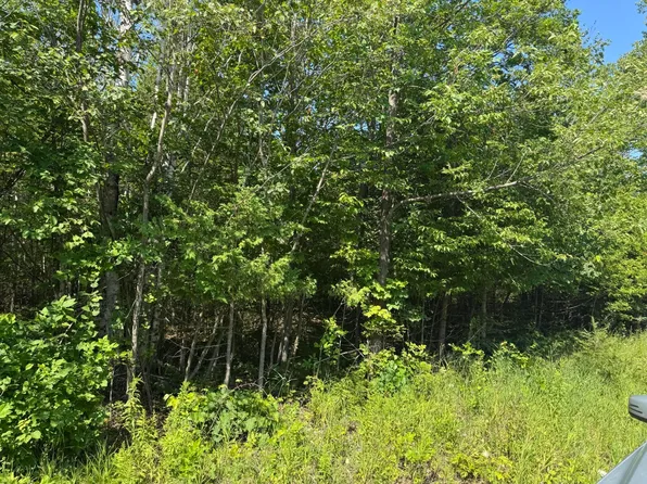 1520 Trails End Rd, Mackinaw City, MI 49701