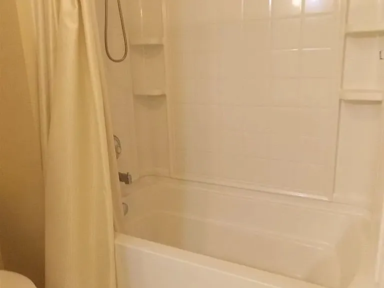 Shower and tub in Jack and Jill bathroom