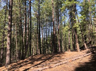 19 Quaking Aspen Rd, Winthrop, WA 98862