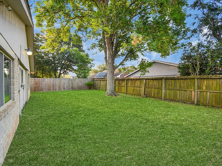 Backyard.