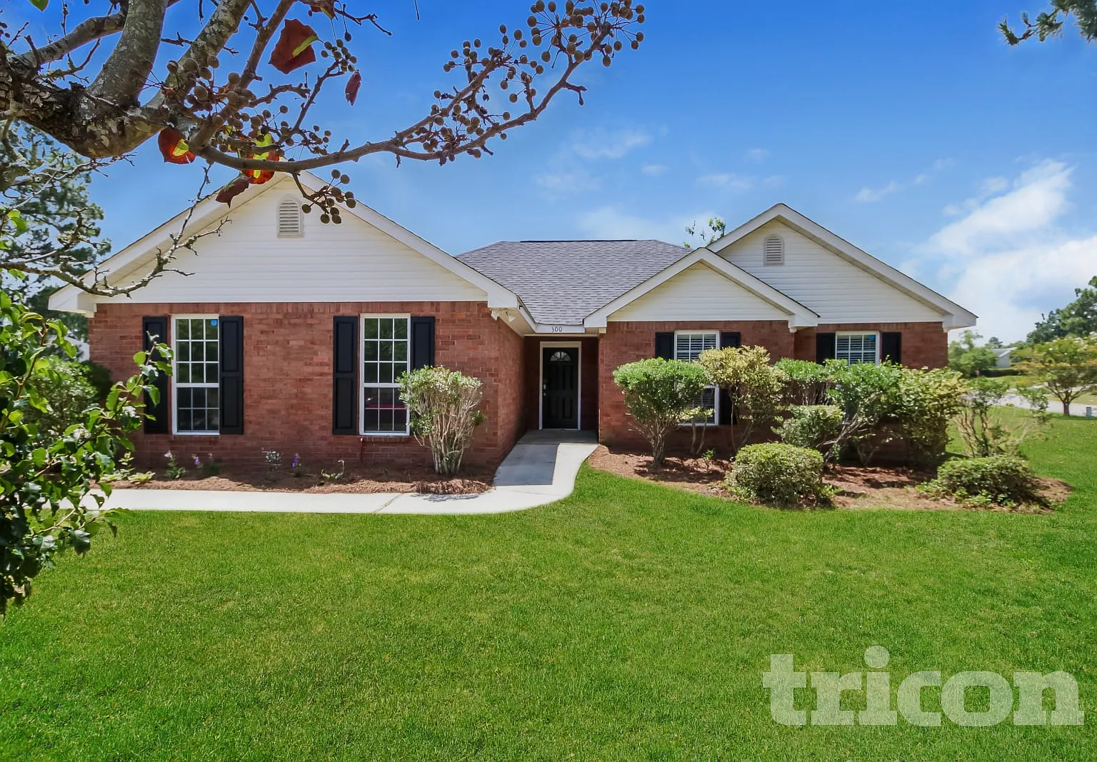 300 Willow Forks Court Lexington SC — Photo 1