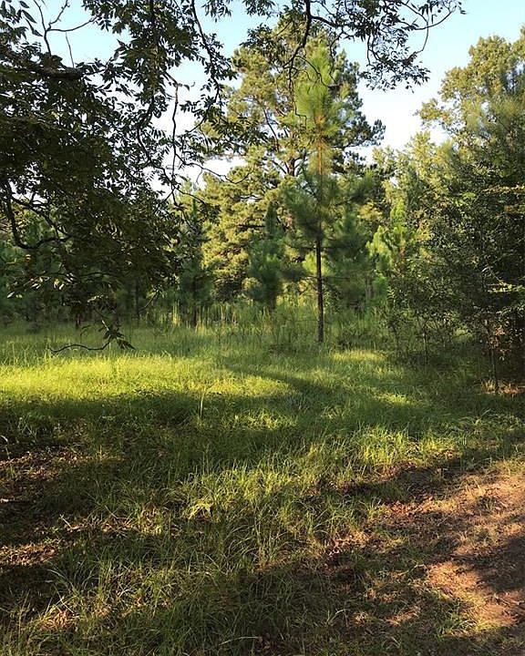 0 Lee Road 243, Smiths Station, AL 36877 Zillow