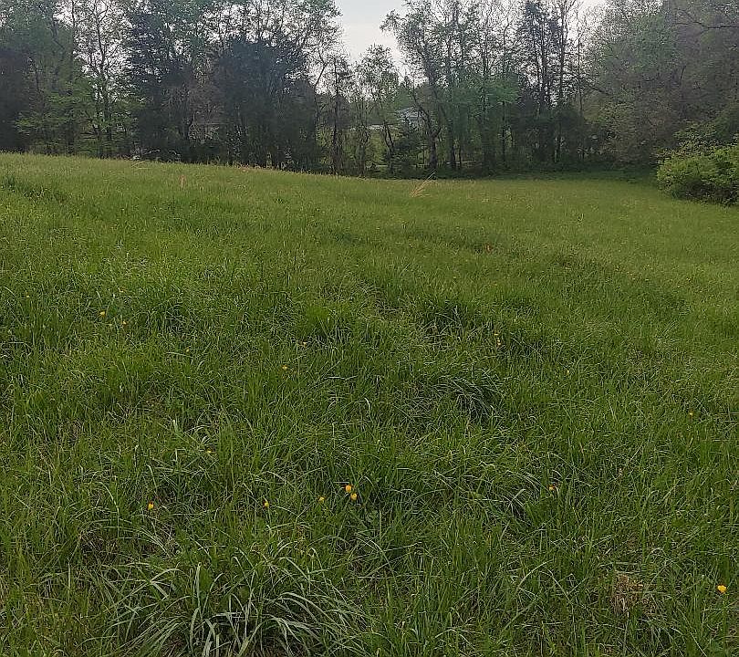 2nd image of LOT 1 Rixeyville Rd #229
