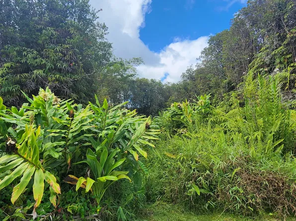 Hohiu St Lot 16, Volcano, HI 96785