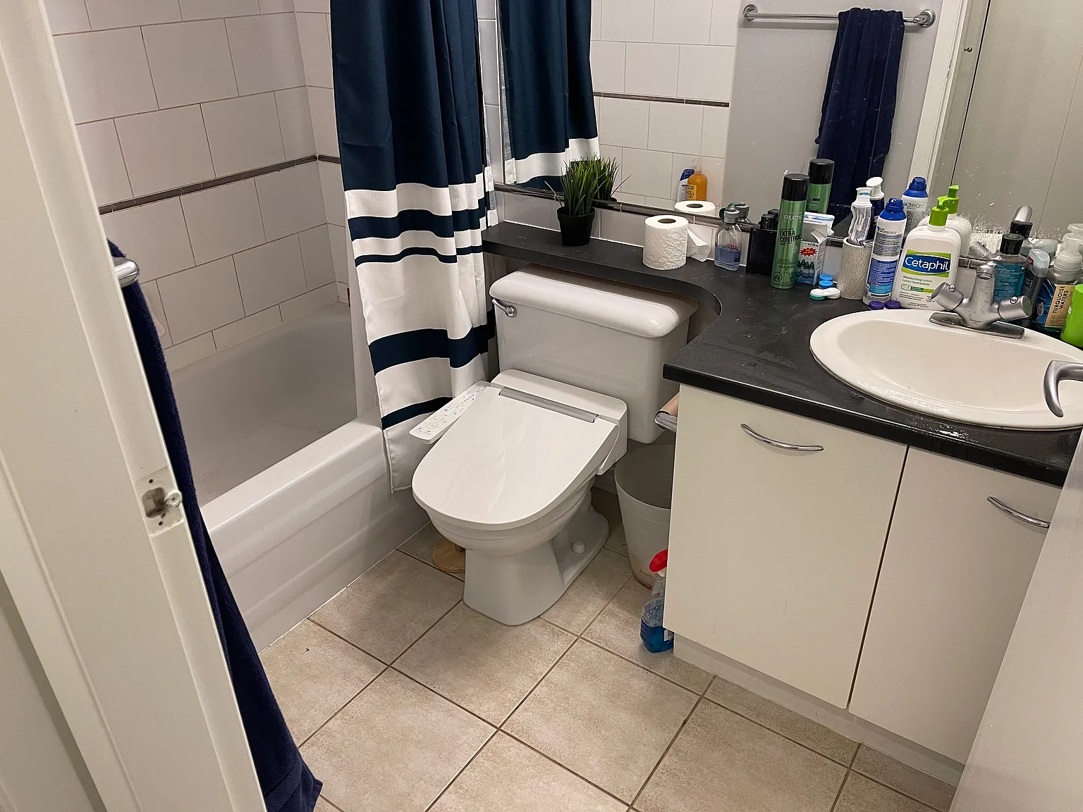 1 bed, 560 sqft, $2,400 — Photo 4