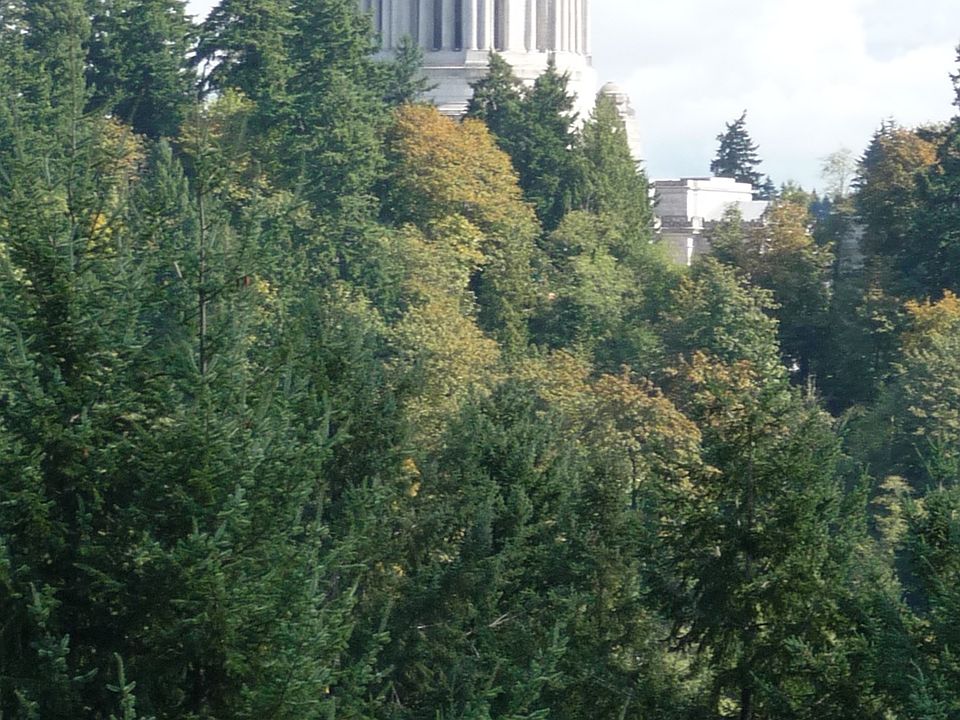View capital dome