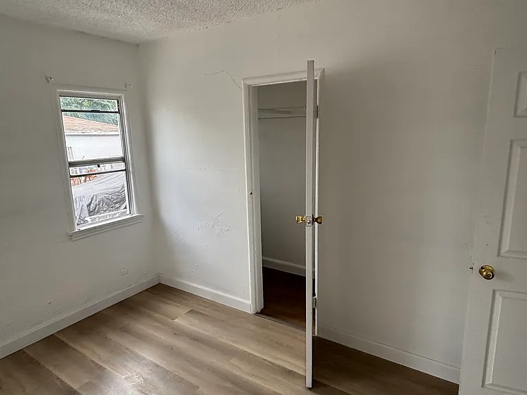 Bedroom #2
Walk-in closet and window