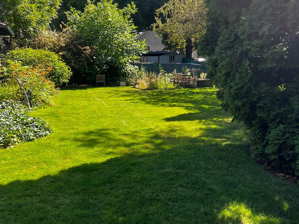 lawn