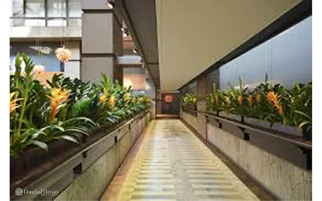 Rented by Douglas Elliman | media 24