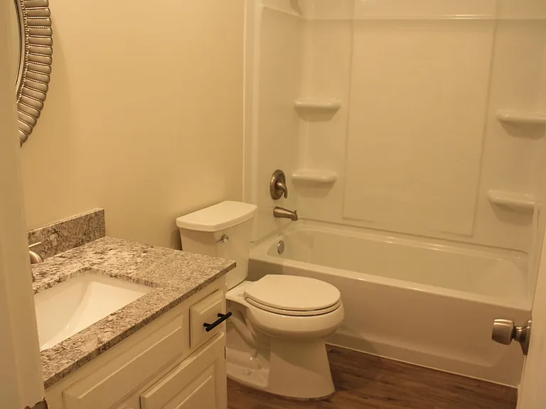 All new hall bath -- new shower/tub, new granite, new paint, new fixtures!