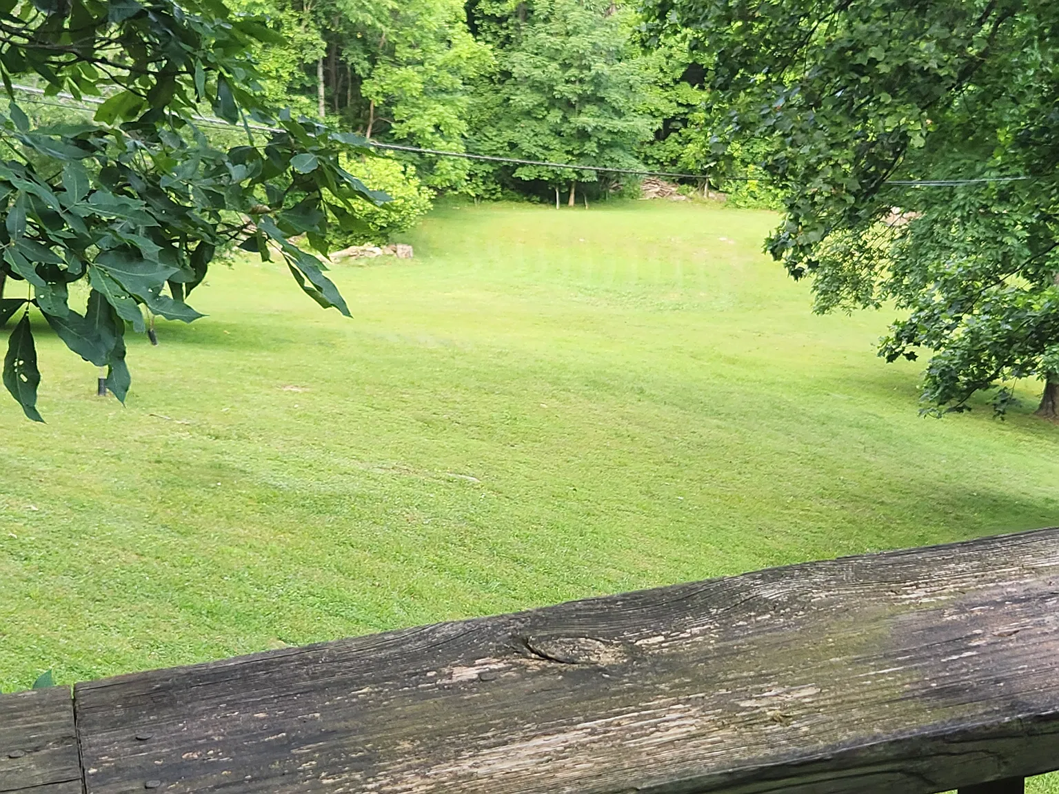 2 bed, 1000 sqft, $1,500 — Photo 3