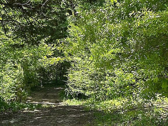 3rd image of 267 Bluegoose Rd