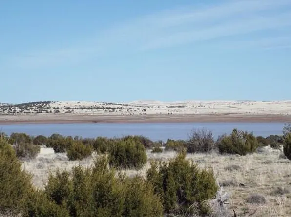 PARCEL 107 98th, Concho, AZ 85924