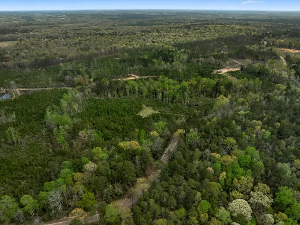 3 Stephens Cemetary Rd, Silver Creek, MS 39663