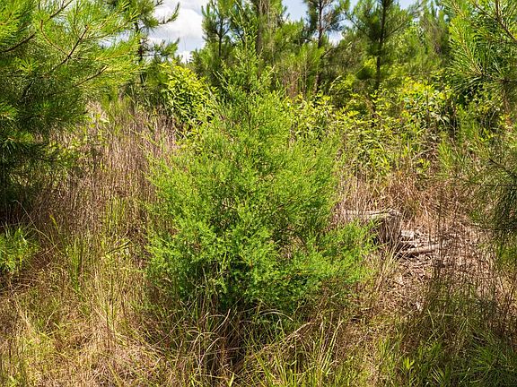 4th image of 18 County Road 4210