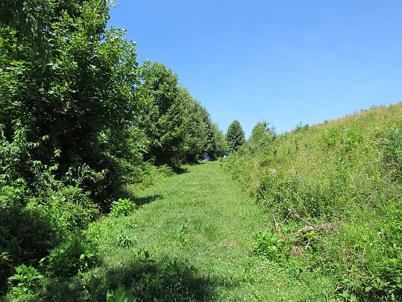 4th image of Logan Creek Rd Lot 5A