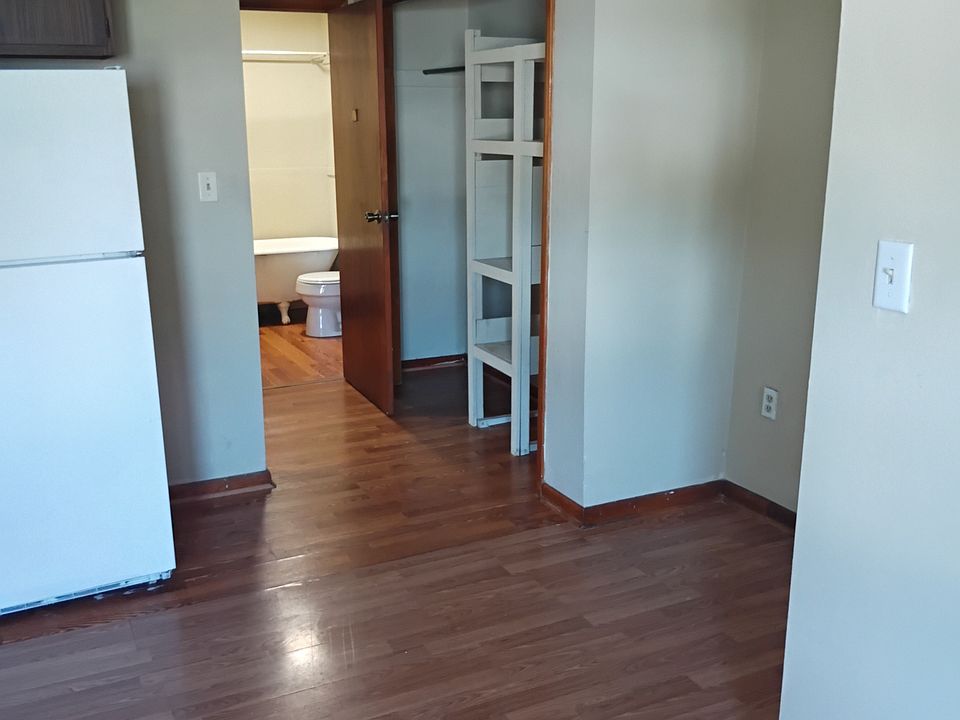 Kitchen and hallway to the bathroom and bedroom 1