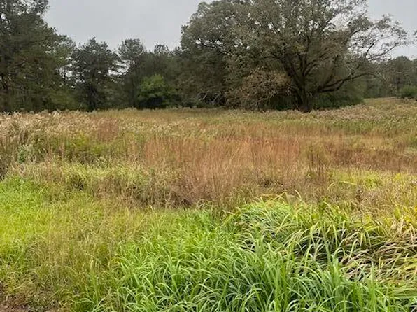 34 Shine Bullock Rd, Laurel, MS 39443