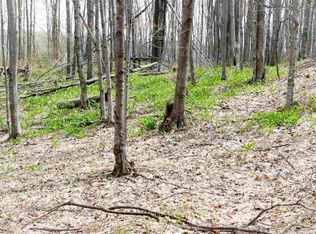 Vacant W Clute Rd, Boyne City, MI 49712