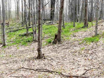 TBD (Vacant) W Clute Road, Boyne City, MI, 49712