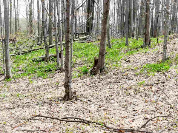Vacant W Clute Rd, Boyne City, MI 49712