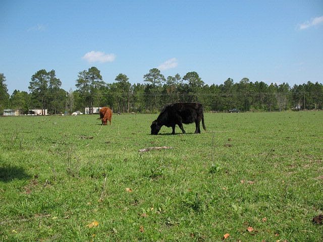 1st image of 18030 Ga Hwy 33