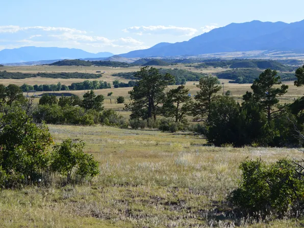 Plata Peak Dr, Rye, CO 81069