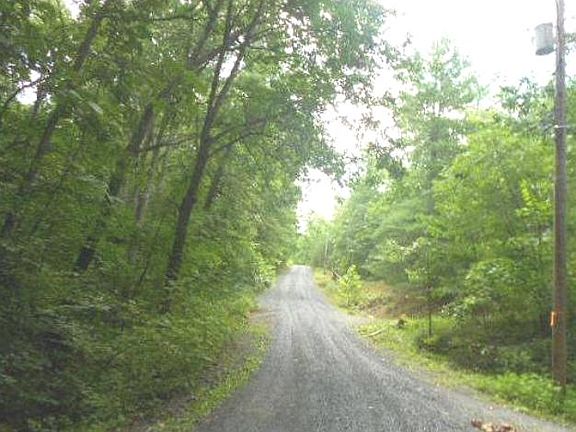 2nd image of 351 Tall Pine Ln