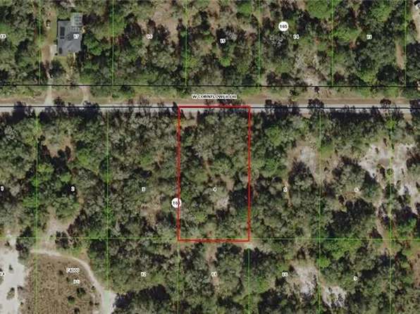12502 W Cornflower Dr, Crystal River, FL 34428