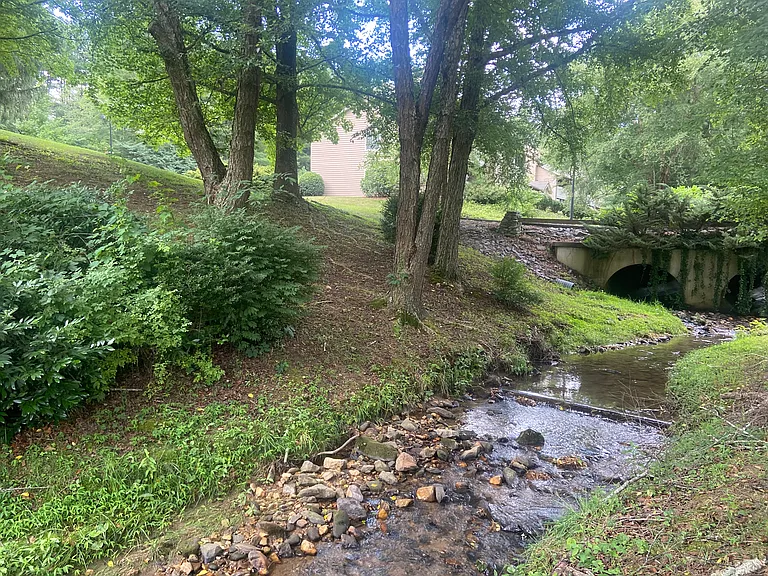 10 Willow Tree Run #10 — Photo 16