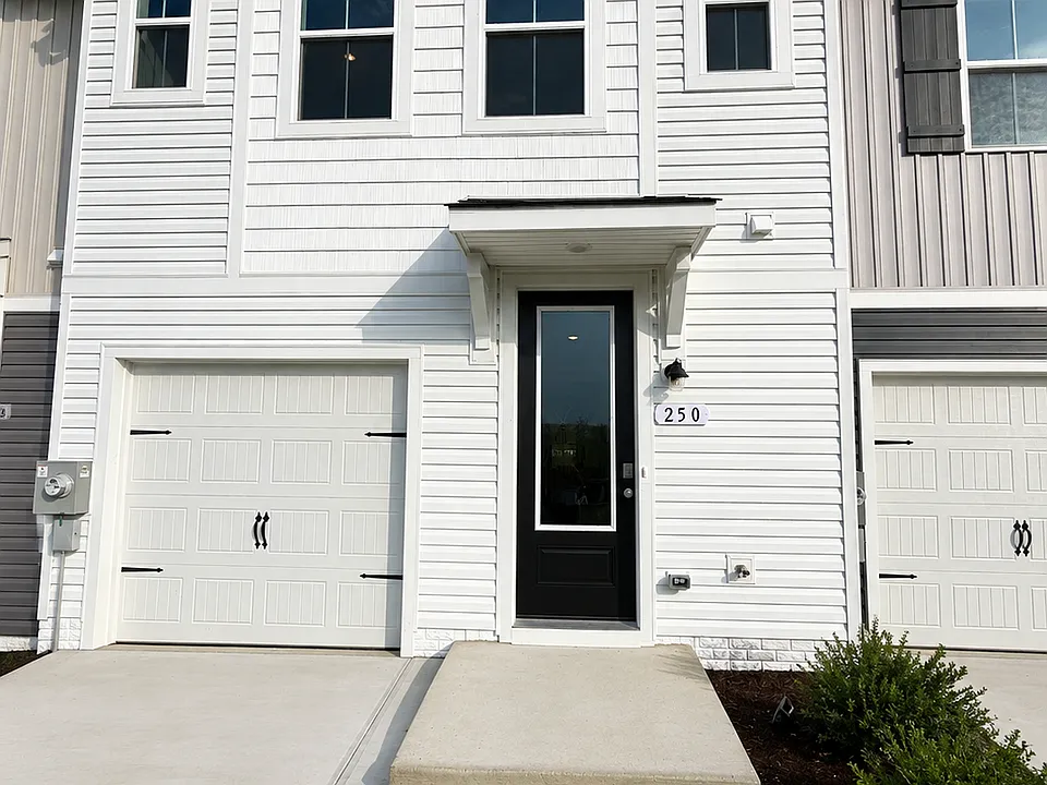 250 Clement Loop