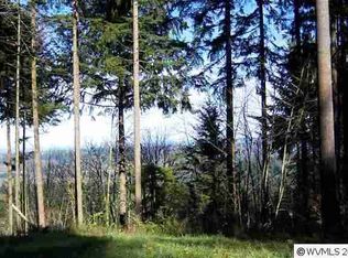 42670 Rodgers Mountain Loop, Scio, OR 97374